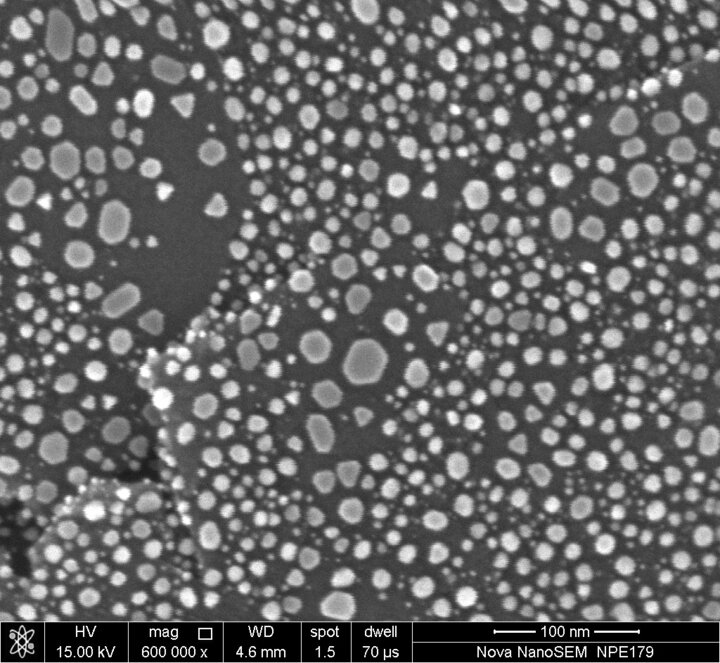 Au particles, NanoSEM 450 15 kV Resolution Test