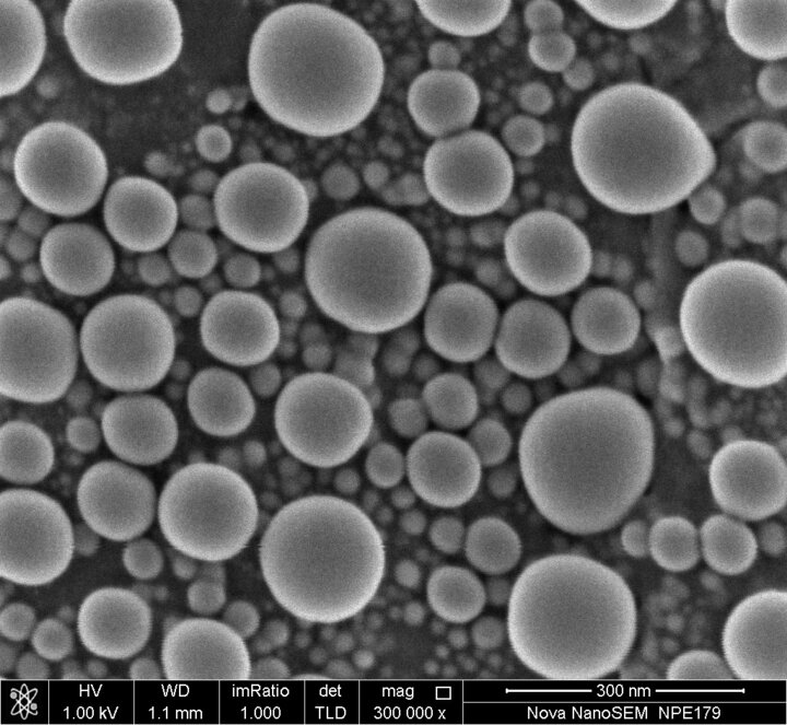 Au particles, NanoSEM 450 1 kV Resolution Test