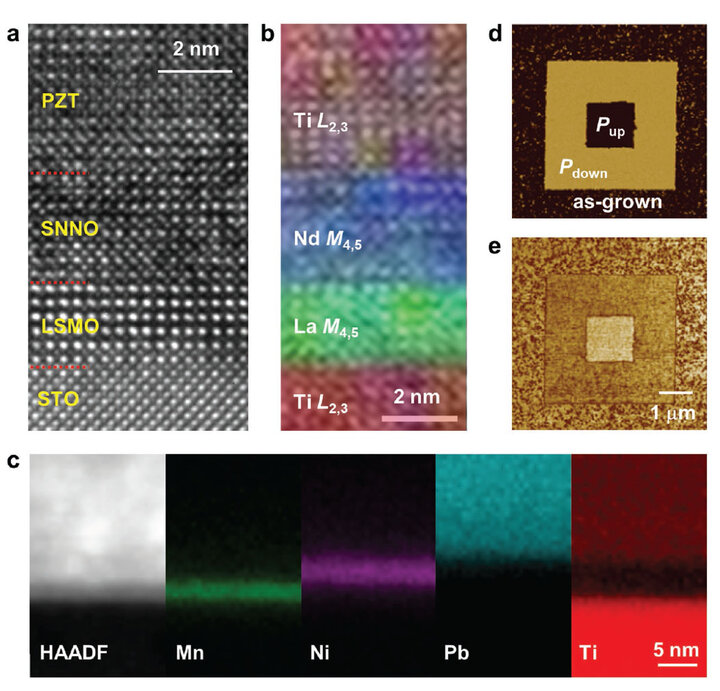 Ferroelectric-Controlled Mott Transistors